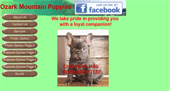 Desktop Screenshot of ozarkmtnpuppies.com